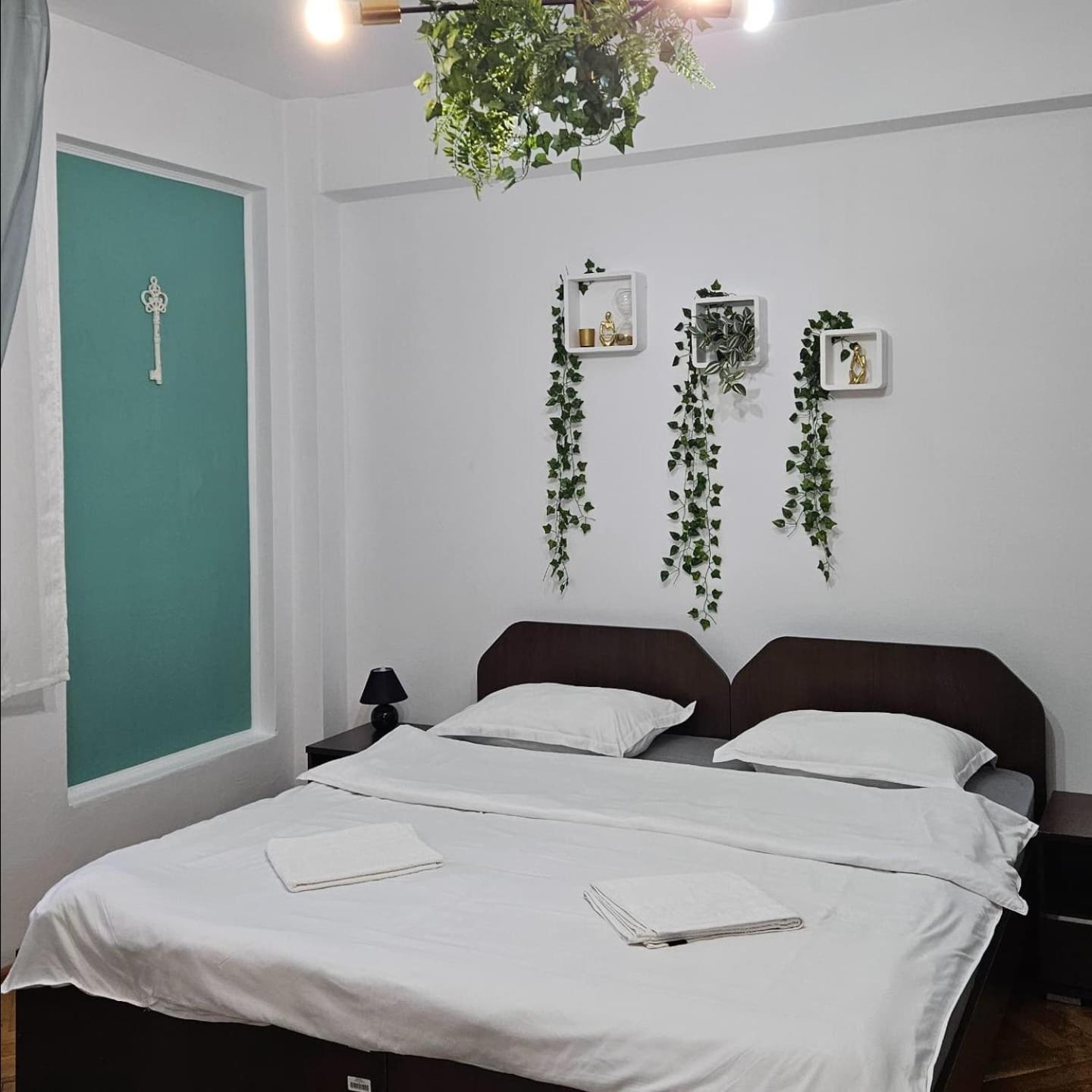 Apartment Zarnesti City Centre Vmp Free Parking Esterno foto