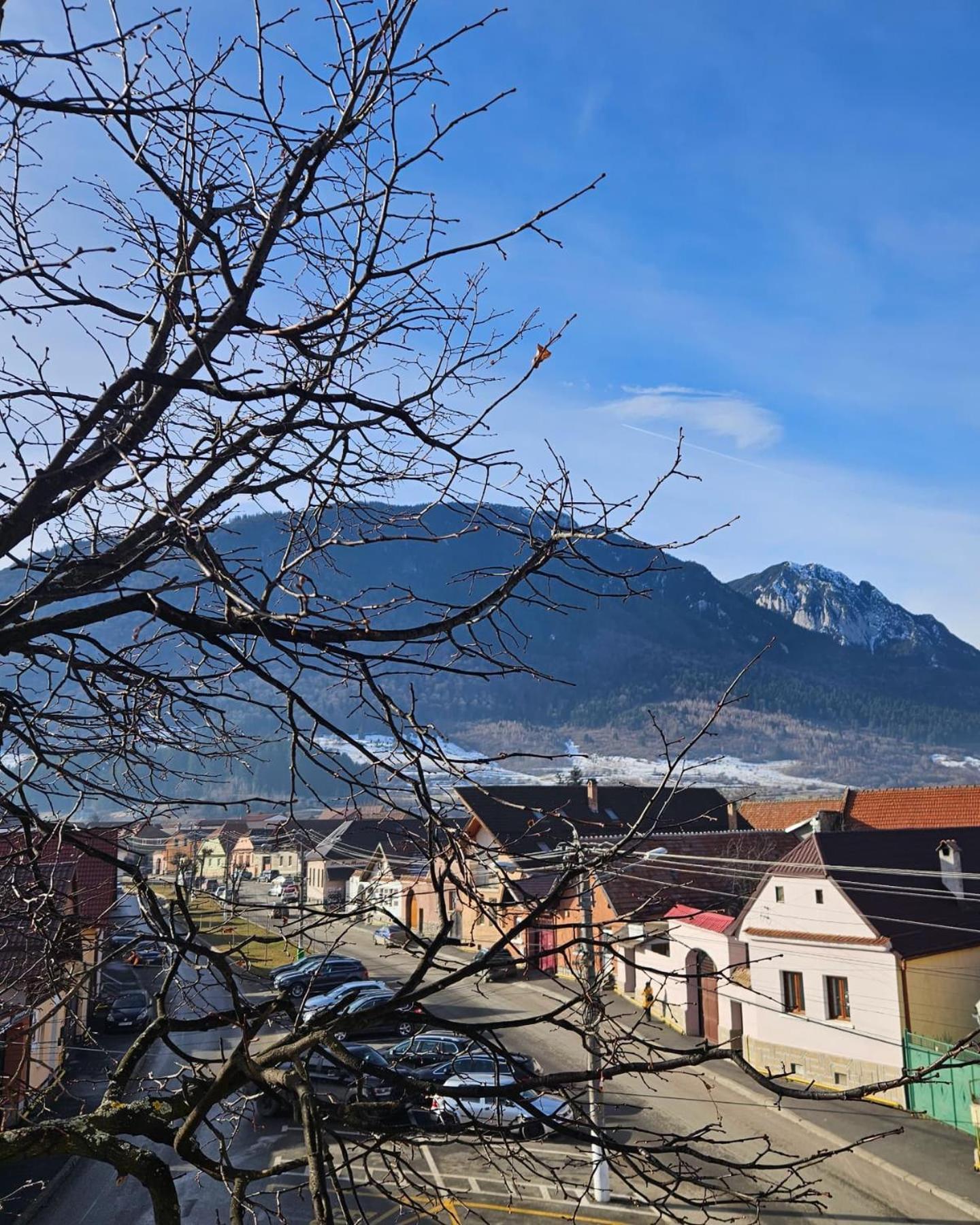 Apartment Zarnesti City Centre Vmp Free Parking Esterno foto